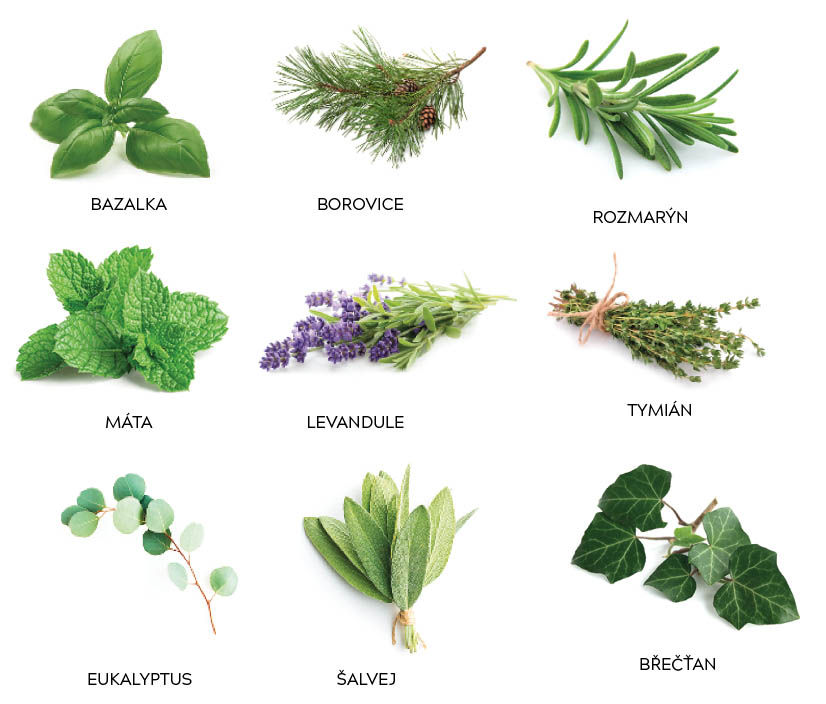 uvolni herbs